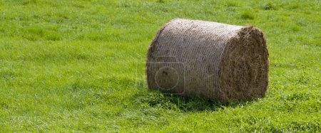 One roll of pressed hay on a field of green grass.