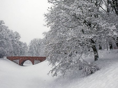 Foto de Un pequeño puente de ladrillo sobre un foso cubierto de nieve en el parque de la ciudad de Zamosc. Árboles cubiertos de nieve, nevadas. Paisaje invierno. - Imagen libre de derechos