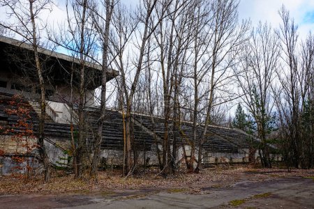 Photo for A dilapidated building with overgrown trees in the foreground. An abandoned football stadium in Pripyat. Overgrown with trees ruins of the stadium. - Royalty Free Image