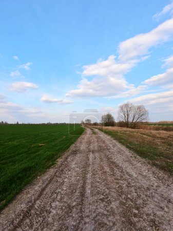 The image depicts a dirt road extending through a green field under a blue sky with scattered clouds.