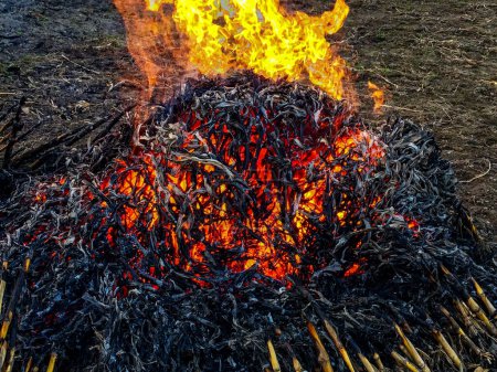 The image shows a pile of sticks on fire with visible flames and embers, set on barren ground.