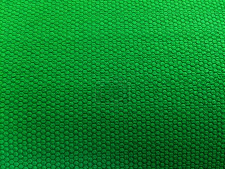 La imagen muestra una superficie de textura verde con círculos pequeños, uniformes y elevados.