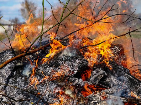 Foto de El humo oscurece el fondo mientras las llamas consumen madera. Quemadura ilegal de hojas y hierba seca. - Imagen libre de derechos