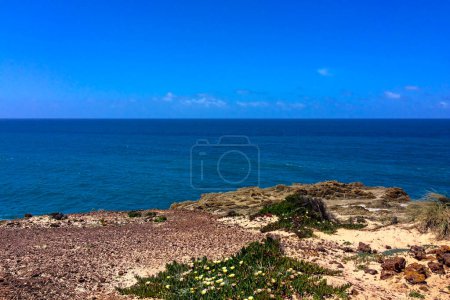 Photo for The image captures a rocky shoreline with greenery overlooking a vast, blue ocean under a clear sky. - Royalty Free Image