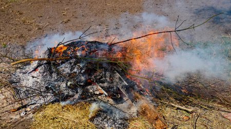 Les cendres se forment lorsque les flammes orange brûlent des morceaux de bois.