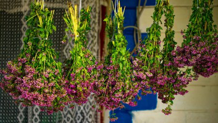 Des grappes de fleurs violettes pendent à l'envers, attachées avec une ficelle, mettant en valeur une méthode traditionnelle de séchage des fleurs ; une atmosphère sereine et naturelle est évidente.