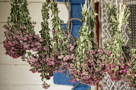 A close-up view of dried floral bunches with vibrant purple blossoms, green stems tied together, depicting an organic and earthy setting.