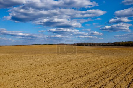 Wide view of an empty farmland and the horizon.