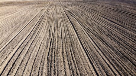 Plowed agricultural field, aerial view. Agricultural land. Background.