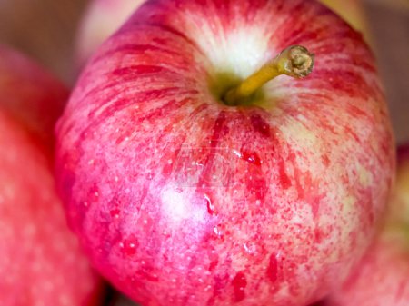 Téléchargez les photos : Image de pomme humide. Une pomme croustillante et humide, représentant des produits frais. Convient à l'épicerie ou à la commercialisation de produits de santé. - en image libre de droit