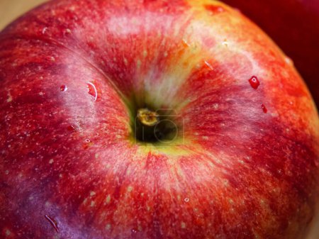 Téléchargez les photos : Fraîcheur aux pommes. Une pomme fraîche avec rosée, idéale pour les thèmes de santé. - en image libre de droit