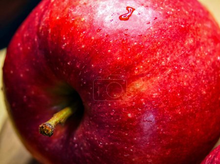 Téléchargez les photos : Pomme humide appétissante. Gros plan sur une pomme rouge mouillée ; teneur en régime alimentaire. - en image libre de droit