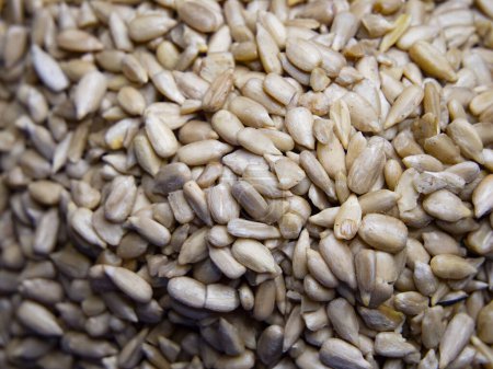 Pile de graines naturelles. Graines de tournesol à l'état naturel, parfaites pour la commercialisation des aliments biologiques.