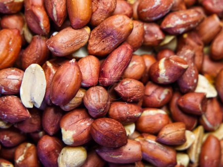 Natural Legume Image. Focus on peanuts for educational materials about snacks.