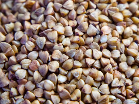 Uncooked Buckwheat Detail. Detailed view of buckwheat, highlighting texture and earthy tones, suitable for nutrition content.