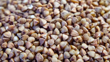 Buckwheat Texture Display. A close-up of buckwheat grains, emphasizing shape and color, great for educational materials.