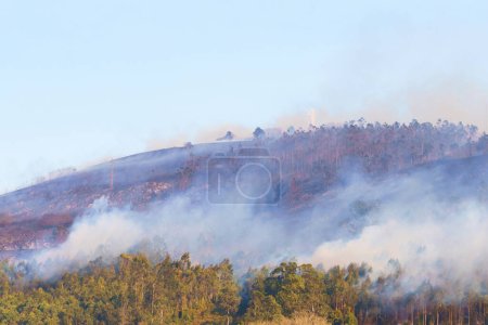 Photo for Oviedo, Spain - Abril, 2023: Wildfire, brushfire in woodland on a montaine hill. Spain forest fire in daytime. Natural disaster in Europe - Royalty Free Image