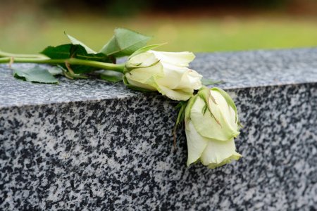 Photo for Two white roses lying on a marble tombstone - Royalty Free Image