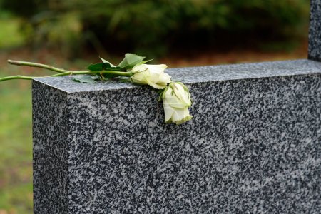 Téléchargez les photos : Two white roses lying on a marble tombstone - en image libre de droit