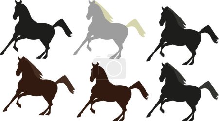 Illustration for Vector galloping horse. Arabic black horses set. Stallion, brown color horse, white horse. Horse silhouettes isolated. Horse raicing. Vector illustration. - Royalty Free Image