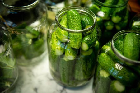 Photo for The process of pickling cucumbers. Pickled cucumbers. Homemade pickles. Salted cucumbers. - Royalty Free Image