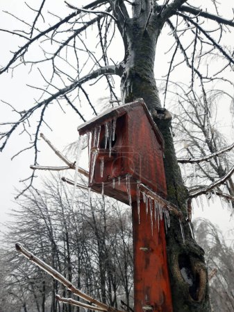 Vogelhaus im Winter mit Eiszapfen auf einem alten Baum bedeckt.