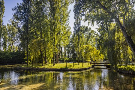 Téléchargez les photos : 9 juillet 2023 - Pissignano, Pérouse, Ombrie. Parc incroyable des sources de la rivière Clitunno. Le jardin, avec des cygnes, des canards, des coypu et d'autres animaux, dans les étangs d'eau claire. Saules et autres arbres. - en image libre de droit