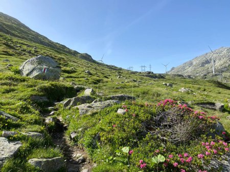 Téléchargez les photos : Sentiers de randonnée ou d'alpinisme en automne Environnement alpin suisse et dans la région montagneuse du col du Saint-Gothard, Airolo - Canton du Tessin (Tessin), Suisse (Schweiz)) - en image libre de droit