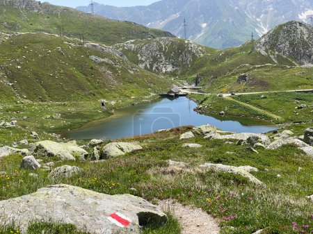 Photo for Summer atmosphere on the Lago dei Morti or Lake of the Dead (Totensee) in the Swiss alpine area of mountain St. Gotthard Pass (Gotthardpass), Airolo - Canton of Ticino (Tessin), Switzerland (Schweiz) - Royalty Free Image