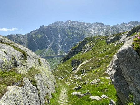 Téléchargez les photos : Sentiers de randonnée ou d'alpinisme en été Environnement alpin suisse et dans la région montagneuse du col du Saint-Gothard, Airolo - Canton du Tessin (Tessin), Suisse (Schweiz)) - en image libre de droit