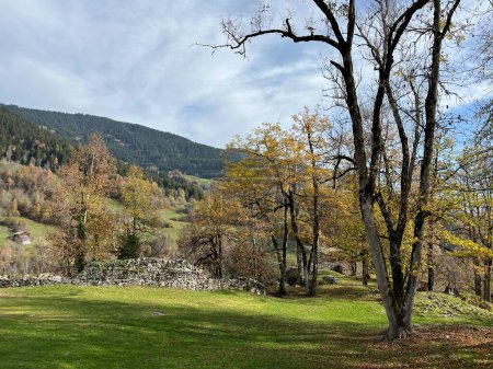 Foto de Magníficos colores otoñales en los alrededores de pastos de montaña y bosques mixtos en las laderas de los Alpes suizos, Ilanz - Cantón de los Grisones, Suiza (Kanton Graubunden, Schweiz) - Imagen libre de derechos