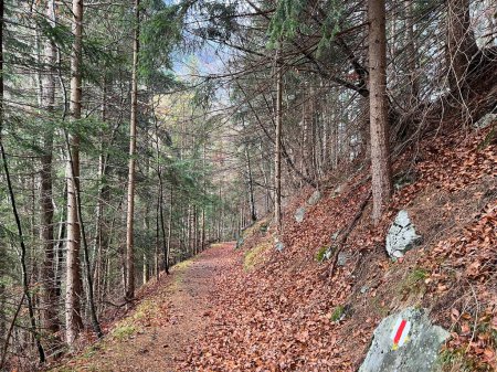 Foto de Rutas de senderismo o rutas de montañismo en las laderas de las montañas alpinas sobre el valle del río Taminatal y en el macizo de los Alpes suizos, Vaettis Cantón de St. Gallen, Suiza (Kanton St. Gallen, Schweiz) - Imagen libre de derechos