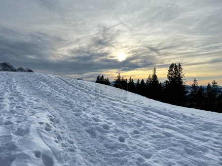 Foto de Maravillosas rutas de senderismo de invierno y rastros de nieve alpina fresca en las laderas de la cordillera Alpstein, Urnaesch (o Urnasch) - Cantón de Appenzell Innerrhoden, Suiza (Schweiz) - Imagen libre de derechos