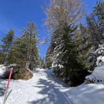Excellently arranged and cleaned winter trails for walking, hiking, sports and recreation in the area of the tourist resorts of Valbella and Lenzerheide in the Swiss Alps - Canton of Grisons, Switzerland (Kanton Graubuenden, Schweiz)