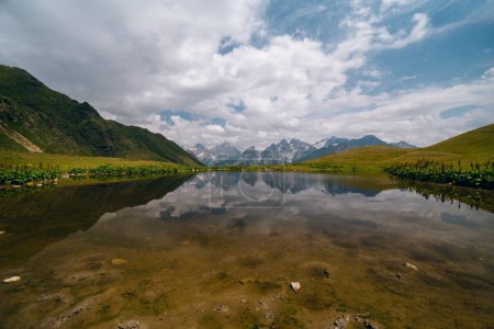 Téléchargez les photos : Lacs Koruldi près du verre d'eau. Montagnes du Caucase, Mestia, région de Svaneti, Géorgie. Journée d'été, collines verdoyantes, pâturage de haute montagne pour le bétail, blanc, sommets enneigés. Nature - en image libre de droit