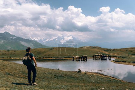 Téléchargez les photos : Un homme observant des vaches nager dans un étang près du lac Koruldi avec une vue de rêve sur la chaîne de montagnes près de Mestia dans la chaîne de montagnes du Grand Caucase Haute Svaneti, Pays de Georgie.Faune - en image libre de droit
