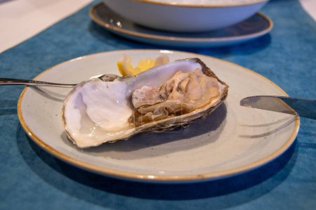 Gourmet delicacy: huge oyster on a plate in a restaurant