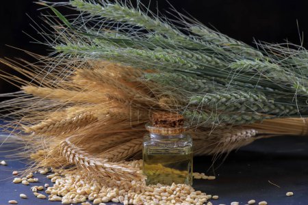 Foto de Aceite de trigo, espigas de trigo y granos de trigo en botella. - Imagen libre de derechos