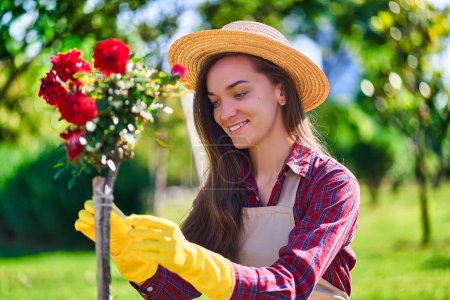 Foto de Atractivo feliz mujer sonriente jardinero con sombrero de paja, delantal y guantes de goma amarilla cuida de rosas arbusto en el jardín casero - Imagen libre de derechos