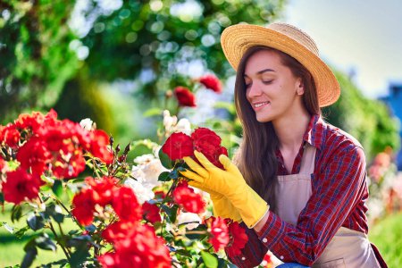 Foto de Retrato de joven atractiva alegre jardinero alegre mujer en sombrero de paja, delantal y guantes de goma amarilla con rosas arbusto en el jardín casero en día soleado - Imagen libre de derechos