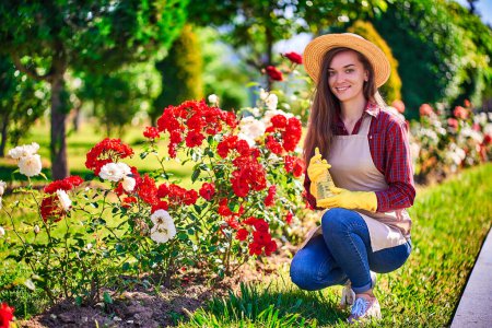 Foto de Retrato de mujer jardinero feliz sonriente en sombrero de paja, delantal y guantes de goma amarilla con botella de spray para regar flores de rosas disfruta de la jardinería en el patio trasero en el día soleado - Imagen libre de derechos