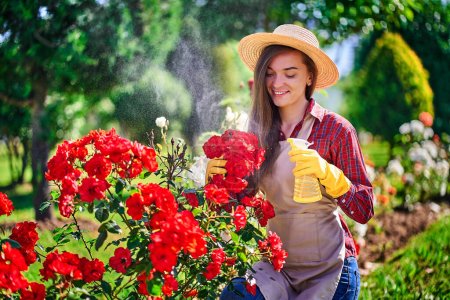 Téléchargez les photos : Belle femme heureuse et souriante jardinière en chapeau de paille, tablier et gants en caoutchouc jaune arrosant des fleurs de roses avec vaporisateur et jouit de jardinage dans le jardin à la maison dans la journée ensoleillée - en image libre de droit