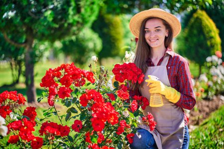 Foto de Retrato de atractiva mujer feliz jardinero sonriente en sombrero de paja, delantal y guantes de goma amarilla sostiene botella de spray para regar flores de rosas y disfruta de la jardinería en el patio trasero - Imagen libre de derechos