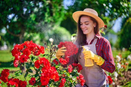Foto de Atractiva mujer alegre jardinero alegre en sombrero de paja, delantal y guantes de goma amarilla regar rosal con botella de spray y disfruta de la jardinería en el jardín de flores - Imagen libre de derechos