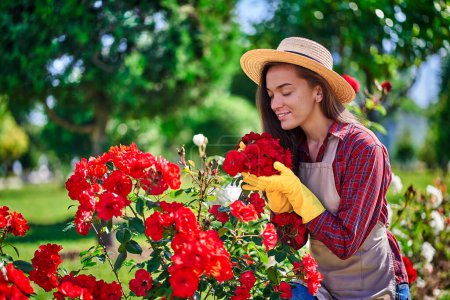 Foto de Atractiva feliz mujer sonriente jardinero en sombrero de paja, delantal y guantes de goma amarilla huele y disfruta del aroma de una rosa flores en el jardín - Imagen libre de derechos