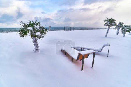 Téléchargez les photos : Des palmiers à feuilles persistantes et des chaises longues recouverts de neige blanche se dressent dans une dérive de neige. Temps froid inhabituel dans le tropique en hiver - en image libre de droit