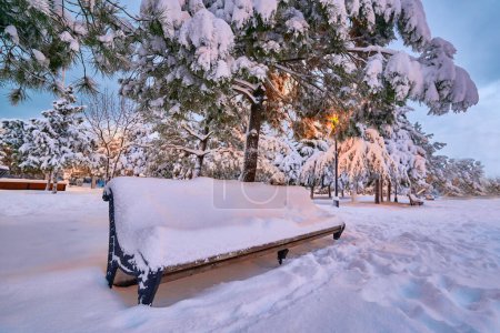 Téléchargez les photos : Arbres à conifères, lanternes et banc en bois recouvert de neige dans le parc d'hiver en soirée. Paysage de contes d'hiver - en image libre de droit