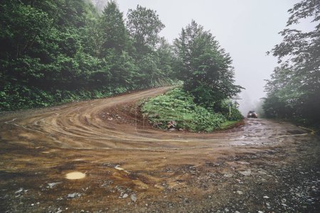 Téléchargez les photos : Paysage de chemin de terre serpentine dans la forêt par temps de brouillard pluvieux - en image libre de droit