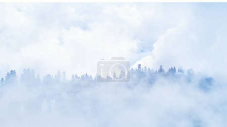 Téléchargez les photos : Paysage de brouillard blanc et silhouette d'arbres - en image libre de droit