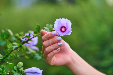 Photo for Female manicure with color nail polish and silver glitter against the background of flowers in a park outdoors - Royalty Free Image